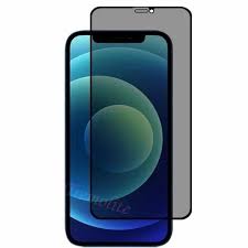 Privacy Matte Screen Guard